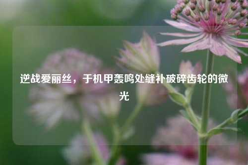 逆战爱丽丝,于机甲轰鸣处缝补破碎齿轮的微光