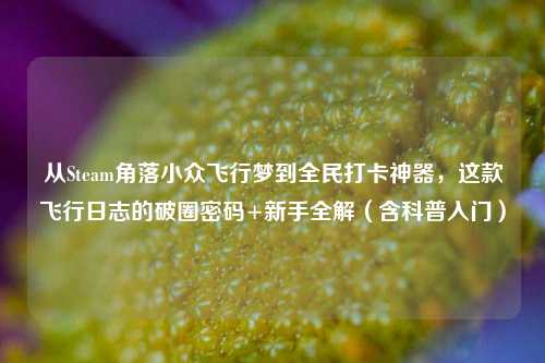 从Steam角落小众飞行梦到全民打卡神器,这款飞行日志的破圈密码+新手全解(含科普入门)