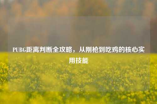 PUBG距离判断全攻略，从刚枪到吃鸡的核心实用技能