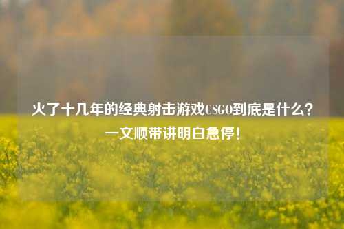 火了十几年的经典射击游戏CSGO到底是什么?一文顺带讲明白急停!