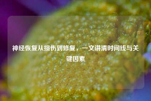 神经恢复从损伤到修复,一文讲清时间线与关键因素
