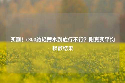 实测!CSGO跑轻薄本到底行不行?附真实平均帧数结果