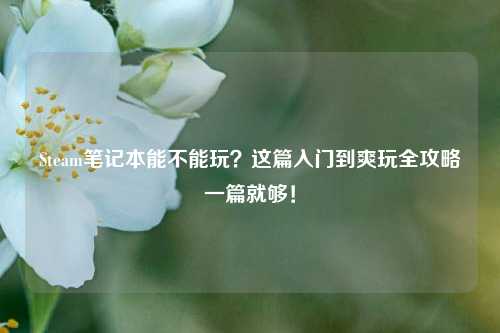 Steam笔记本能不能玩?这篇入门到爽玩全攻略一篇就够!