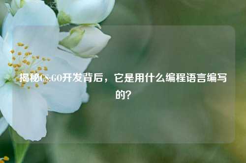 揭秘CS:GO开发背后,它是用什么编程语言编写的?