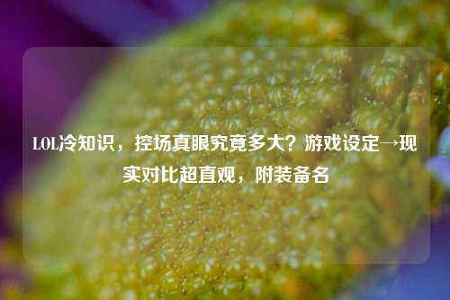 LOL冷知识,控场真眼究竟多大?游戏设定→现实对比超直观,附装备名