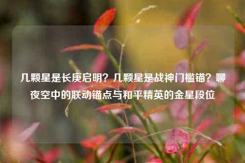 几颗星是长庚启明?几颗星是战神门槛锚?聊夜空中的联动锚点与和平精英的金星段位