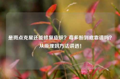 是斑点克星还能修复皮肤?莓多酚到底靠谱吗?从原理到 *** 讲透!