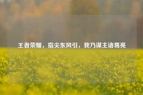 王者荣耀,指尖东风引,我乃谋主诸葛亮