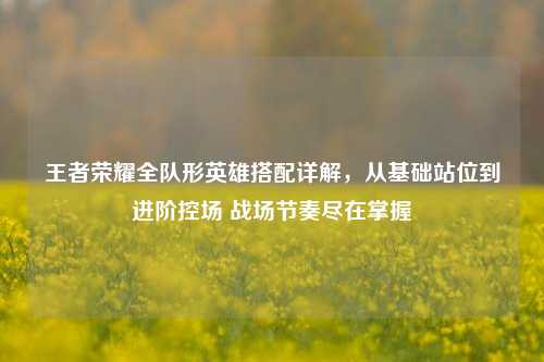 王者荣耀全队形英雄搭配详解，从基础站位到进阶控场 战场节奏尽在掌握