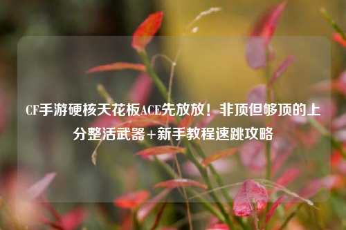 CF手游硬核天花板ACE先放放!非顶但够顶的上分整活武器+新手教程速跳攻略