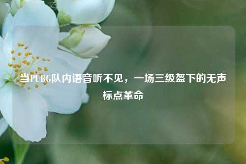 当PUBG队内语音听不见，一场三级盔下的无声标点革命