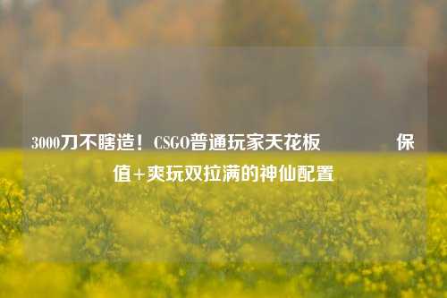3000刀不瞎造!CSGO普通玩家天花板🔥保值+爽玩双拉满的神仙配置
