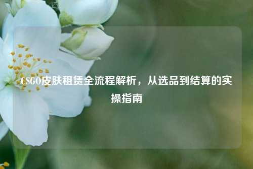 CSGO皮肤租赁全流程解析,从选品到结算的实操指南