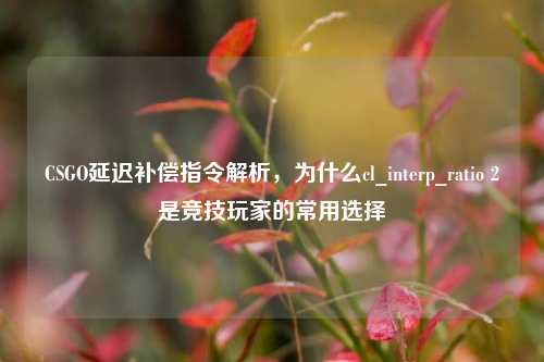 CSGO延迟补偿指令解析,为什么cl_interp_ratio 2是竞技玩家的常用选择