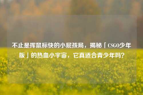 不止是挥鼠标快的小屁孩局,揭秘「CSGO少年版」的热血小宇宙,它真适合青少年吗?