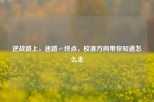 逆战路上,迷路≠终点,校准方向带你知道怎么走