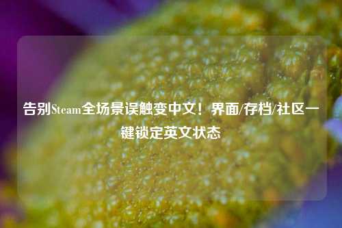 告别Steam全场景误触变中文！界面/存档/社区一键锁定英文状态