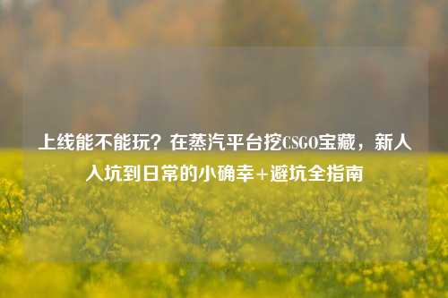 上线能不能玩？在蒸汽平台挖CSGO宝藏，新人入坑到日常的小确幸+避坑全指南