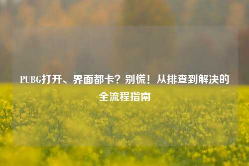 PUBG打开、界面都卡？别慌！从排查到解决的全流程指南