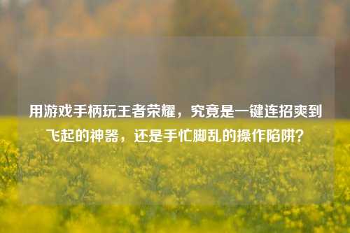 用游戏手柄玩王者荣耀，究竟是一键连招爽到飞起的神器，还是手忙脚乱的操作陷阱？