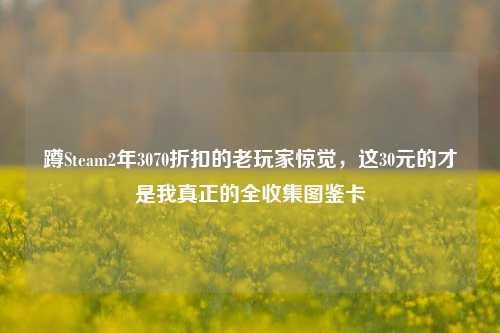 蹲Steam2年3070折扣的老玩家惊觉，这30元的才是我真正的全收集图鉴卡