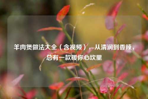 羊肉煲做法大全(含视频),从清润到香辣,总有一款暖你心坎里