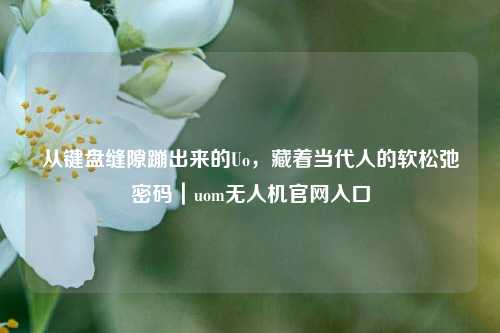 从键盘缝隙蹦出来的Uo，藏着当代人的软松弛密码｜uom无人机官网入口