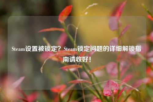 Steam设置被锁定?Steam锁定问题的详细解锁指南请收好!