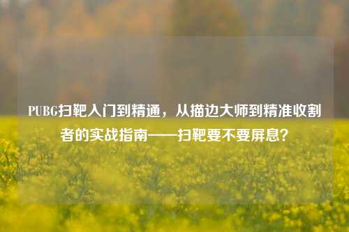 PUBG扫靶入门到精通,从描边大师到精准收割者的实战指南——扫靶要不要屏息?