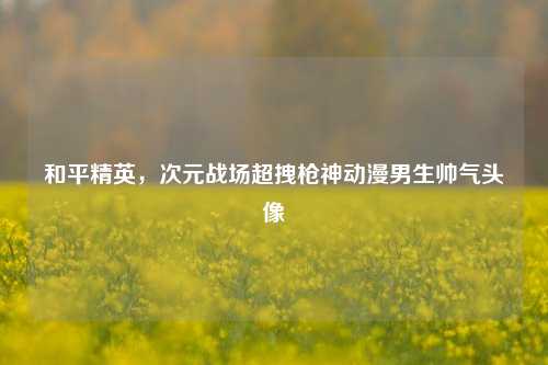 和平精英，次元战场超拽枪神动漫男生帅气头像