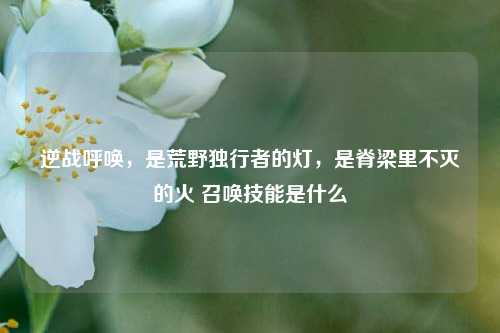 逆战呼唤，是荒野独行者的灯，是脊梁里不灭的火 召唤技能是什么