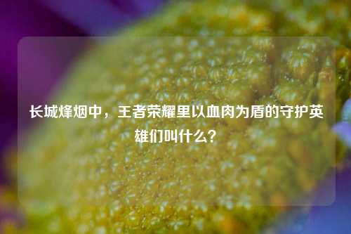 长城烽烟中，王者荣耀里以血肉为盾的守护英雄们叫什么？