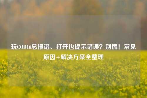 玩COD16总报错、打开也提示错误?别慌!常见原因+解决方案全整理