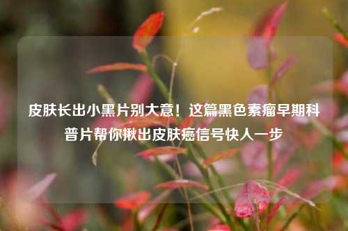 皮肤长出小黑片别大意!这篇黑色素瘤早期科普片帮你揪出皮肤癌信号快人一步