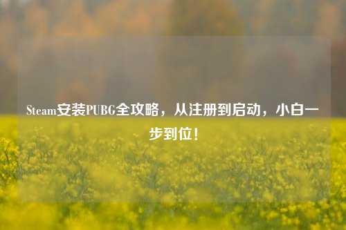 Steam安装PUBG全攻略，从注册到启动，小白一步到位！