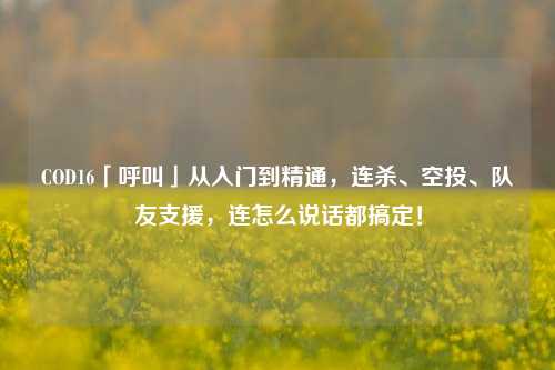 COD16「呼叫」从入门到精通,连杀、空投、队友支援,连怎么说话都搞定!