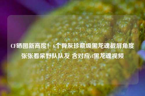 CF晒图新高度!6个骨灰珍藏级黑龙魂截屏角度张张看呆野队队友 含对应cf黑龙魂视频