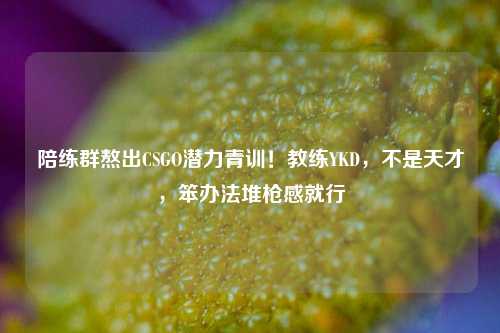陪练群熬出CSGO潜力青训！教练YKD，不是天才，笨办法堆枪感就行
