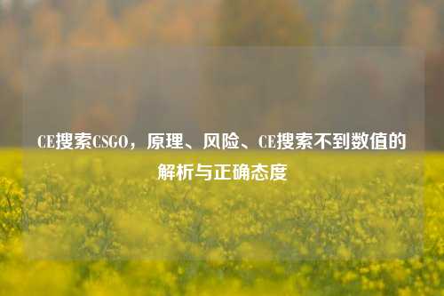 CE搜索CSGO,原理、风险、CE搜索不到数值的解析与正确态度