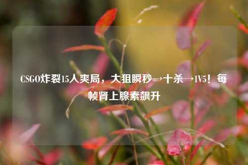 CSGO炸裂15人爽局，大狙瞬秒→十杀→1V5！每帧肾上腺素飙升