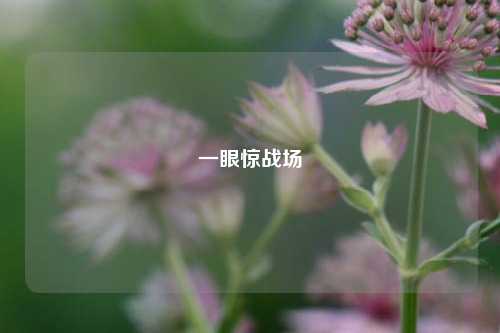 一眼惊战场