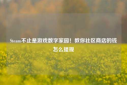 Steam不止是游戏数字家园！教你社区商店的钱怎么提现