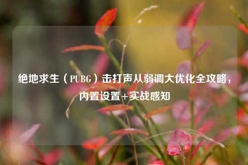 绝地求生(PUBG)击打声从弱调大优化全攻略,内置设置+实战感知