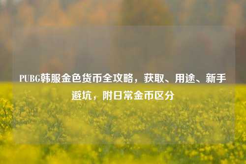 PUBG韩服金色货币全攻略,获取、用途、新手避坑,附日常金币区分