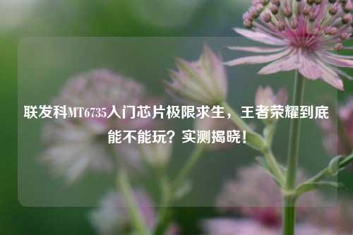 联发科MT6735入门芯片极限求生,王者荣耀到底能不能玩?实测揭晓!