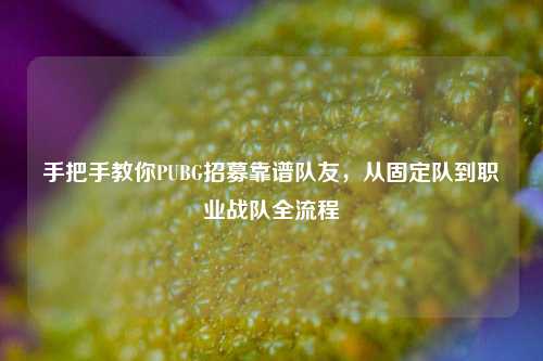 手把手教你PUBG招募靠谱队友,从固定队到职业战队全流程
