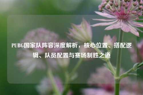 PUBG国家队阵容深度解析,核心位置、搭配逻辑、队员配置与赛场制胜之道