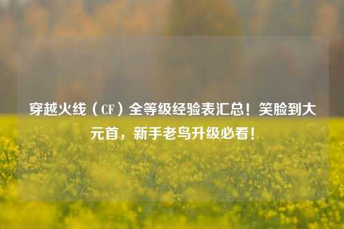 穿越火线(CF)全等级经验表汇总!笑脸到大元首,新手老鸟升级必看!