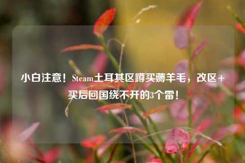 小白注意!Steam土耳其区蹲买薅羊毛,改区+买后回国绕不开的3个雷!