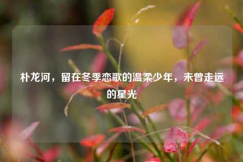 朴龙河,留在冬季恋歌的温柔少年,未曾走远的星光